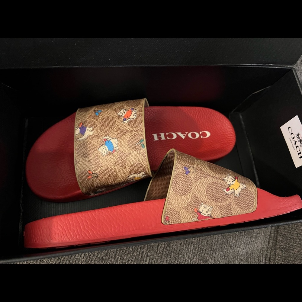 Coach slides brand new authentic